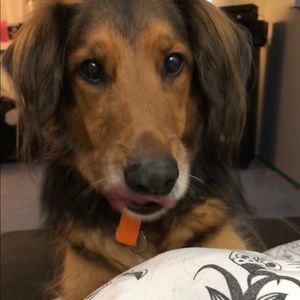 Meet your Posher, Kou